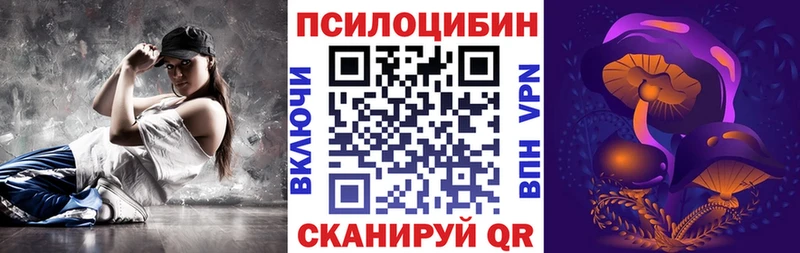 закладка  Чухлома  Псилоцибиновые грибы GOLDEN TEACHER 